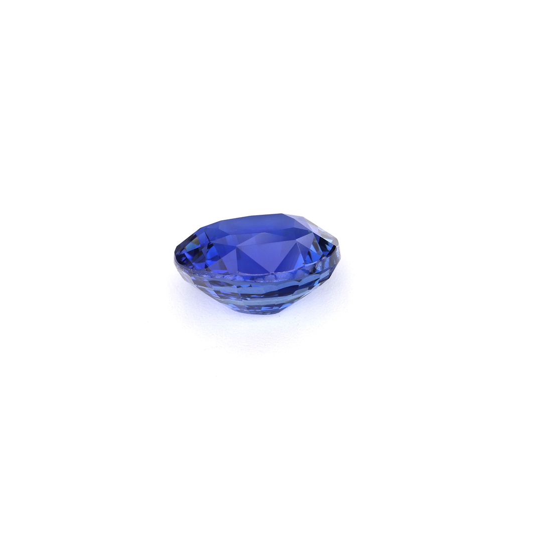 Toto Sapphire #003 - Image 4